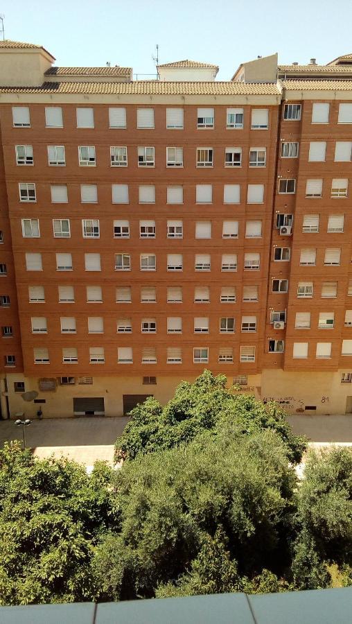 Piso Acogedor Y Alegre En Castellon Apartment Castellon de la Plana Ngoại thất bức ảnh